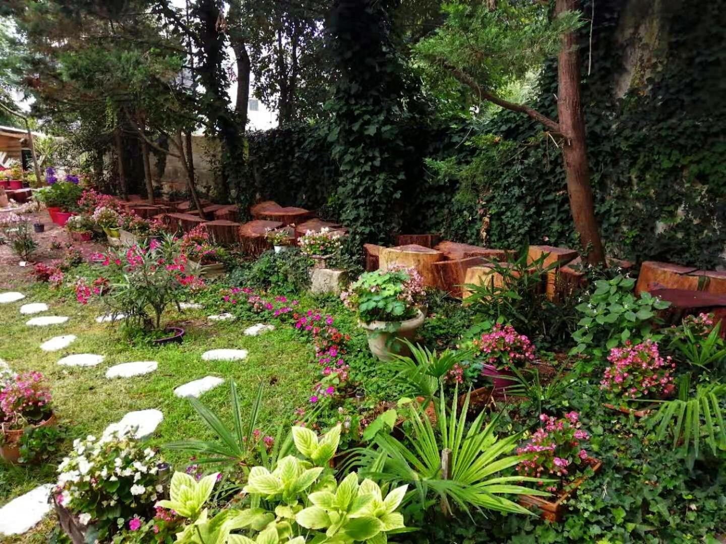 Villa Sequoia Garden Bordeaux Cameră foto