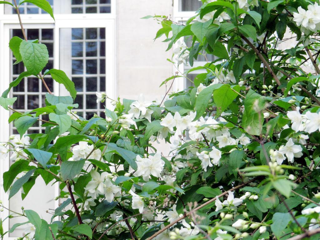 Villa Sequoia Garden Bordeaux Exterior foto