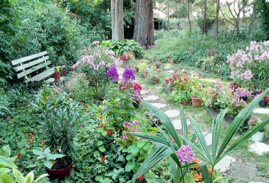 Villa Sequoia Garden Bordeaux Exterior foto